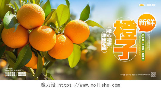 写实风新鲜橙子水果宣传展板AI